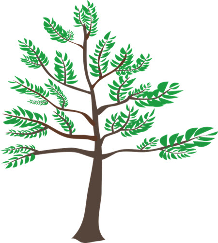 Growth family tree package – a narrative of your family tree