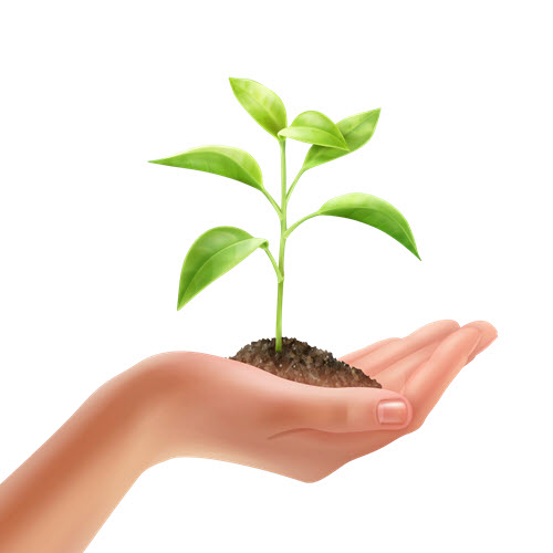Starter family tree package – to start your family history journey