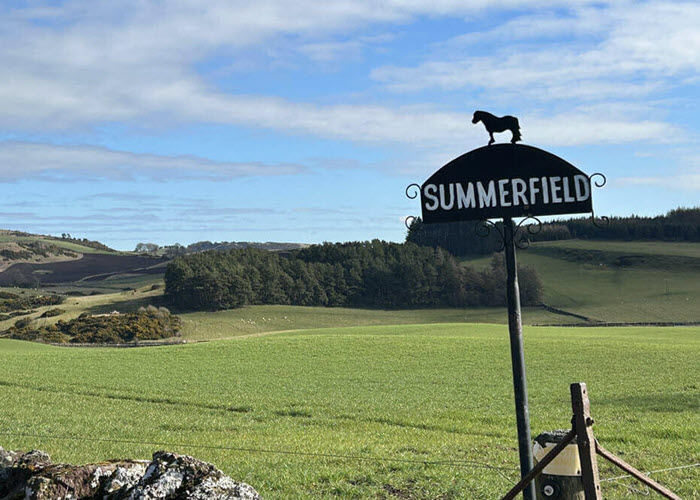 Summerfield, ancestral farm linked to the Skinner family tree